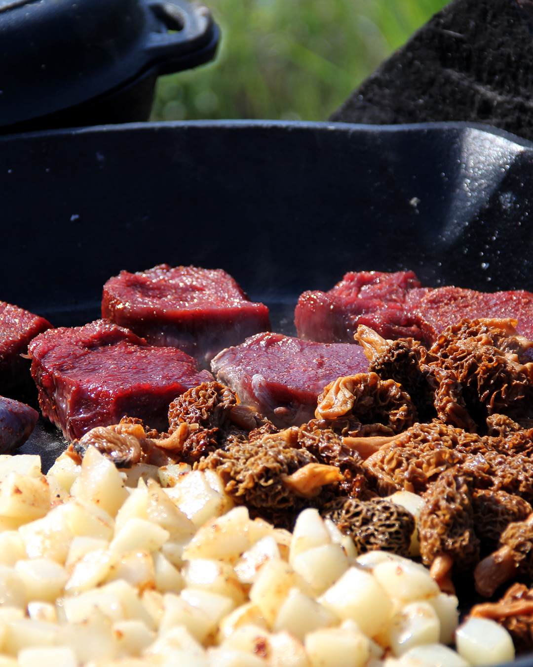 Wild Game Recipe Ideas for Thanksgiving onX